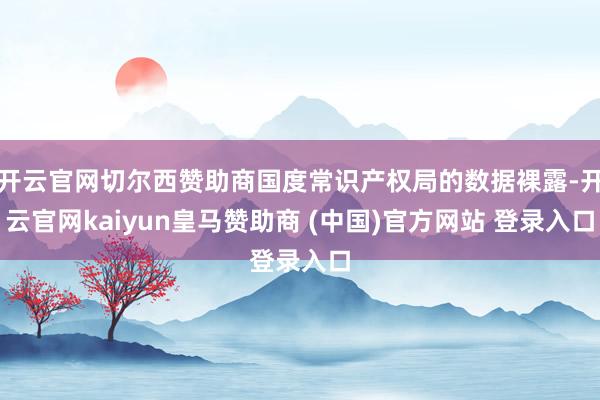 开云官网切尔西赞助商国度常识产权局的数据裸露-开云官网kaiyun皇马赞助商 (中国)官方网站 登录入口