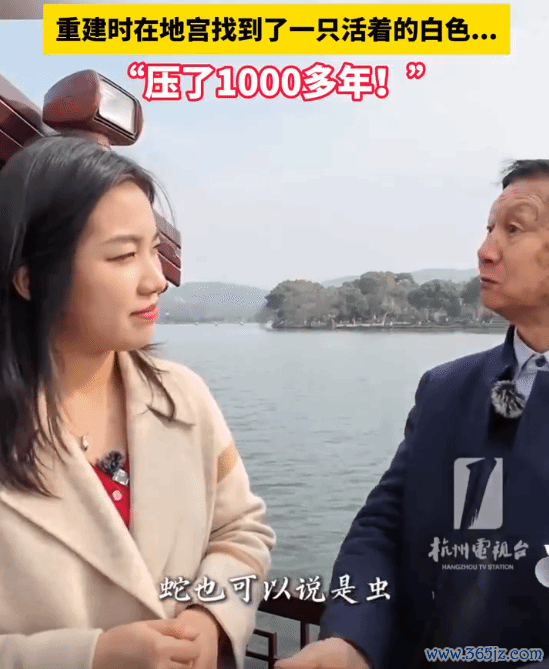 雷峰塔下确凿有压了千年的白色虫子：发当前还在世