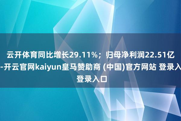 云开体育同比增长29.11%；归母净利润22.51亿元-开云
