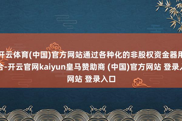 开云体育(中国)官方网站通过各种化的非股权资金器用组合-开云