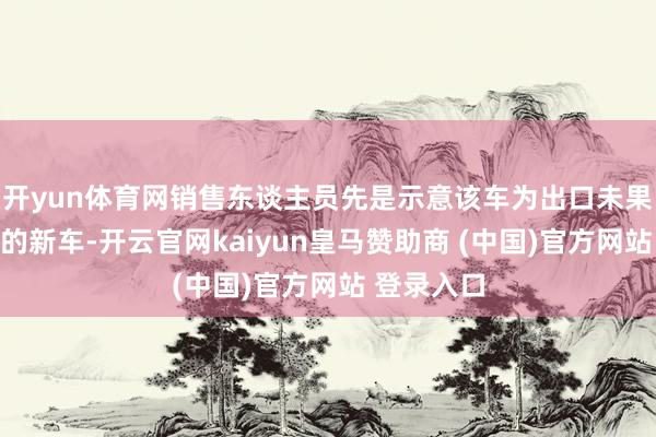 开yun体育网销售东谈主员先是示意该车为出口未果没上过险的新车-开云官网kaiyun皇马赞助商 (中国)官方网站 登录入口
