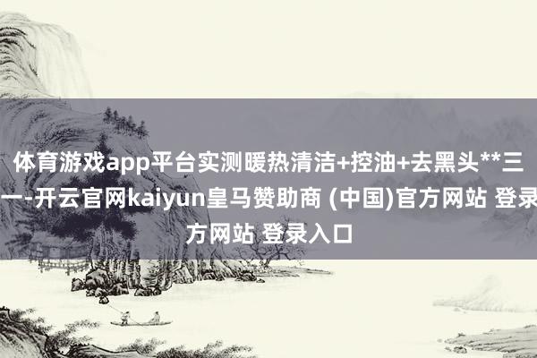 体育游戏app平台实测暖热清洁+控油+去黑头**三效合一-开
