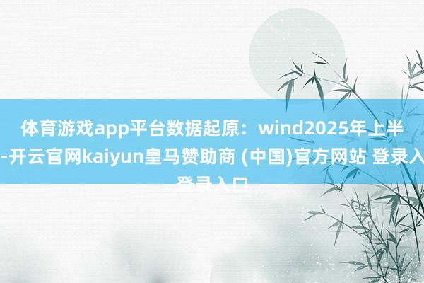 体育游戏app平台数据起原：wind　　2025年上半年-开