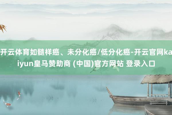 开云体育如髓样癌、未分化癌/低分化癌-开云官网kaiyun皇